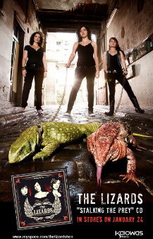 liz1 The Lizards