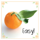 easy Easy ! : Easy! // Autoproducido