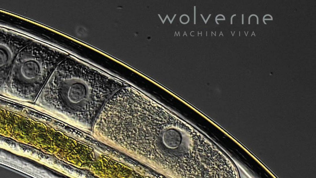 Wolverine: Machina Viva // Sensory Records